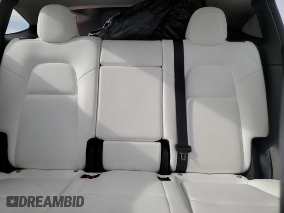 2022 Tesla Model Y Performance with VIN 7SAYGDEF1NF407985, listed as a Copart auction lot 53831325 with 41,225 mi miles and Salvage title. Bid and sale history available at DreamBid. Image 10.