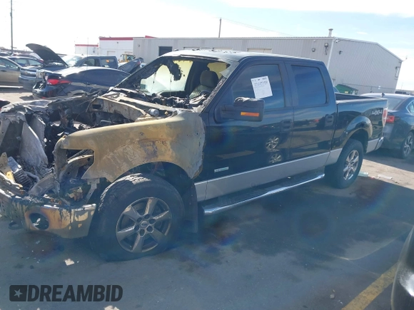 2011 Ford F-150 XLT with VIN 1FTFW1ETXBFC42036, listed as a IAAI auction lot 41643109 with 1 mi miles. Bid and sale history available at carsss.com. Image 2.