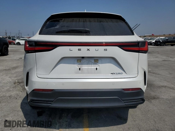 2024 Lexus NX 250 Premium with VIN JTJGDCAZ2R5015128, listed as a Copart auction lot 58384805 with 23,453 mi miles and Salvage title. Bid and sale history available at DreamBid. Image 6.