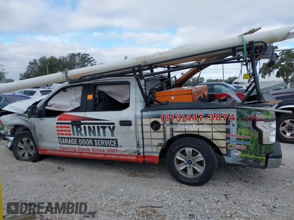 2019 Ford F-150 XL with VIN 1FTEW1CB9KFD18349, listed as a IAAI auction lot 41261246 with Not Provided miles and . Bid and sale history available at DreamBid. Image 14.