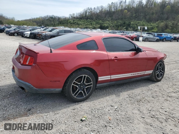 2010 Ford Mustang V6 with VIN 1ZVBP8AN1A5131923, listed as a Copart auction lot 53170985 with 170,449 mi miles and Salvage Title. Bid and sale history available at DreamBid. Image 3.