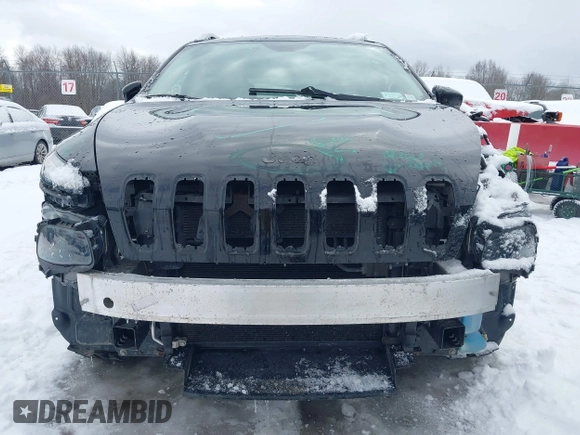 2017 Jeep Cherokee Limited with VIN 1C4PJMDS1HW505617, listed as a IAAI auction lot 41461389 with 97,978 mi miles. Bid and sale history available at carsss.com. Image 6.