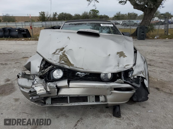 2008 Ford Mustang GT Deluxe with VIN 1ZVHT85H385127604, listed as a Copart auction lot 88802875 with Not Provided miles and Salvage Title. Bid and sale history available at DreamBid. Image 5.