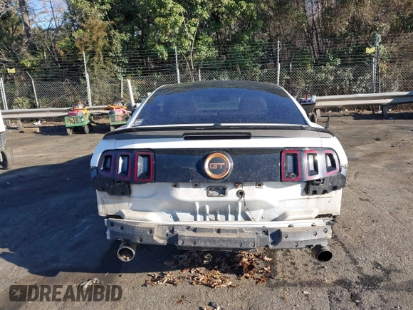 2013 Ford Mustang GT with VIN 1ZVBP8CF1D5208753, listed as a IAAI auction lot 41754011 with 158,809 mi miles and . Bid and sale history available at DreamBid. Image 17.
