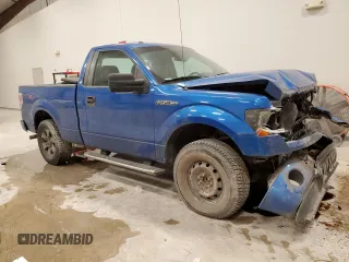 2013 Ford F-150 XL with VIN 1FTMF1CF5DFD02991, listed as a Copart auction lot 46853675 with 127,474 mi miles and Salvage title. Bid and sale history available at DreamBid. Image 4.
