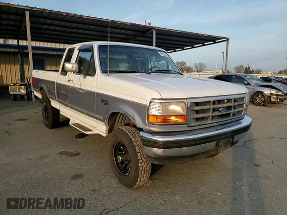 1995 Ford F-150 with VIN 1FTEX14H1SKC08418, listed as a Copart auction lot 85259374 with 290,724 mi miles and Salvage Title. Bid and sale history available at carsss.com. Image 10.