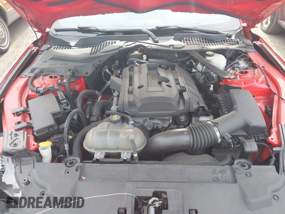 2019 Ford Mustang EcoBoost с VIN 1FATP8UH6K5138631, выставлен на аукционе IAAI как лот 42117817 с пробегом 68 630 миль миль и . История ставок и продаж доступна на DreamBid. Изображение 10.
