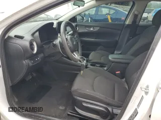2019 Kia Forte LXS с VIN 3KPF24AD1KE084045, выставлен на аукционе Copart как лот 59874895 с пробегом 153 335 миль миль и Списание • Salvage title. История ставок и продаж доступна на DreamBid. Изображение 7.