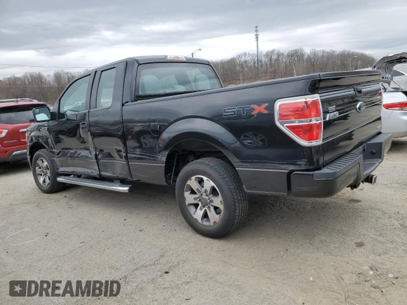 2013 Ford F-150 XL with VIN 1FTEX1CM9DFC18477, listed as a Copart auction lot 49625425 with 121,136 mi miles and Salvage Title. Bid and sale history available at carsss.com. Image 2.