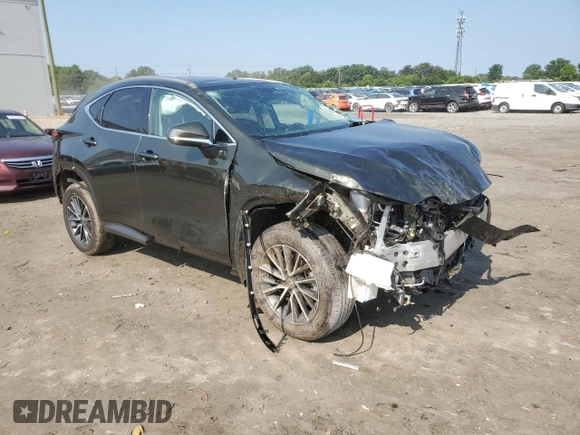 2025 Lexus NX 350 with VIN 2T2AGCEZ3SC066555, listed as a Copart auction lot 59521925 with 11,955 mi miles and Salvage title. Bid and sale history available at DreamBid. Image 4.