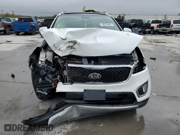 2016 Kia Sorento EX with VIN 5XYPH4A19GG071000, listed as a Copart auction lot 46252865 with 144,707 mi miles and Salvage Title. Bid and sale history available at carsss.com. Image 5.