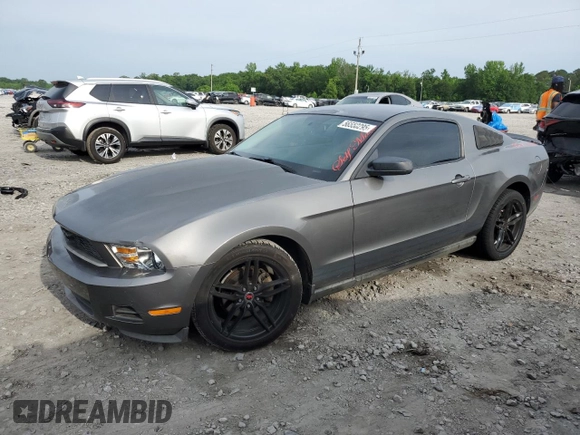 2010 Ford Mustang V6 с VIN 1ZVBP8AN8A5173733, выставлен на аукционе Copart как лот 56550295 с пробегом 217 597 миль миль и Чистый • Clean title. История ставок и продаж доступна на DreamBid. Изображение 1.