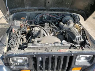 1994 Jeep Wrangler S with VIN 1J4FY19PXRP438743, listed as a Copart auction lot 70693064 with 94,401 mi miles and Salvage Title. Bid and sale history available at carsss.com. Image 11.
