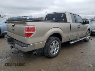 2010 Ford F-150 XL with VIN 1FTFX1CV3AFD17207, listed as a Copart auction lot 44138395 with 122,570 mi miles and Salvage Title. Bid and sale history available at carsss.com. Image 3.