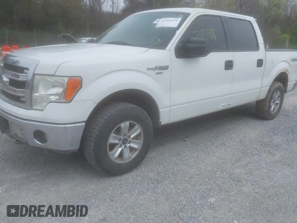 2013 Ford F-150 XL with VIN 1FTFW1EF8DKF20839, listed as a IAAI auction lot 41906614 with 243,411 mi miles and . Bid and sale history available at carsss.com. Image 2.