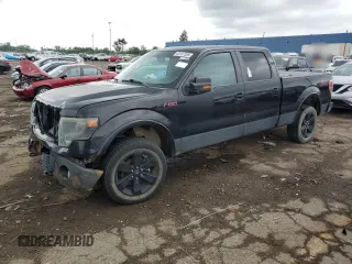 2013 Ford F-150 XL with VIN 1FTFW1ET4DFB12191, listed as a Copart auction lot 63107335 with Not provided miles and Clean title. Bid and sale history available at DreamBid. Image 1.
