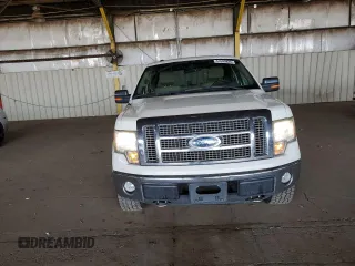 2009 Ford F-150 XL with VIN 1FTPX14V49FA89619, listed as a Copart auction lot 51645825 with 225,219 mi miles and Salvage Title. Bid and sale history available at carsss.com. Image 5.