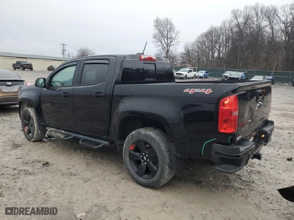2019 Chevrolet Colorado 4WD LT with VIN 1GCGTCEN5K1127822, listed as a Copart auction lot 44759785 with 67,043 mi miles and Salvage Title. Bid and sale history available at carsss.com. Image 2.
