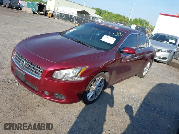 2009 Nissan Maxima SV with VIN 1N4AA51E19C841383, listed as a IAAI auction lot 42132774 with Not Provided miles and . Bid and sale history available at DreamBid. Image 2.