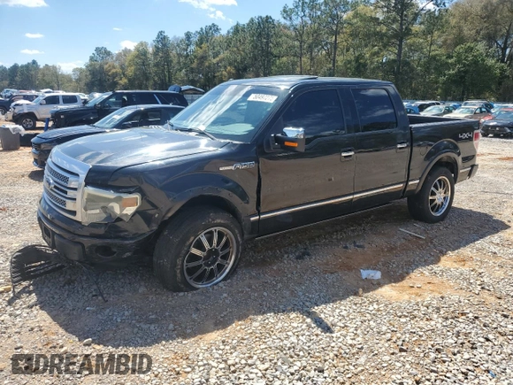 2013 Ford F-150 XL with VIN 1FTFW1EF6DFB14941, listed as a Copart auction lot 50497275 with 176,672 mi miles and Salvage Title. Bid and sale history available at DreamBid. Image 1.