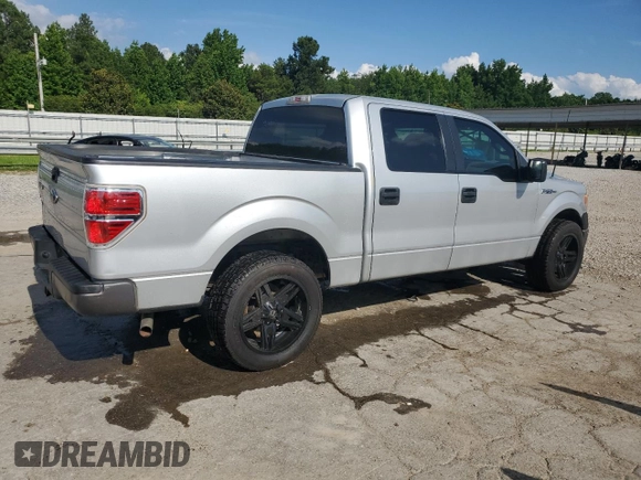 2009 Ford F-150 XL with VIN 1FTRW12WX9FB19889, listed as a Copart auction lot 60272775 with 155,783 mi miles and Salvage title. Bid and sale history available at DreamBid. Image 3.