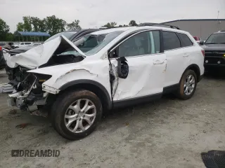 2011 Mazda CX-9 Touring with VIN JM3TB2CA1B0305833, listed as a Copart auction lot 58417135 with 203,026 mi miles and Salvage title. Bid and sale history available at DreamBid. Image 1.