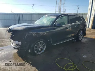 2023 BMW X5 sDrive40i with VIN 5UXCR4C06P9P92133, listed as a Copart auction lot 45018155 with 0 mi miles and Non Repairable. Bid and sale history available at carsss.com. Image 1.