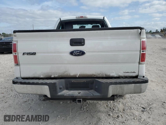 2011 Ford F-150 XL with VIN 1FTMF1CM6BFB39215, listed as a Copart auction lot 51974565 with 318,520 mi miles and Salvage Title. Bid and sale history available at DreamBid. Image 6.