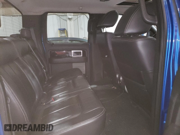 2009 Ford F-150 XL with VIN 1FTPW14V09KB58851, listed as a Copart auction lot 60174025 with 209,055 mi miles and Clean title. Bid and sale history available at DreamBid. Image 10.