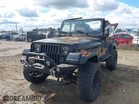1993 Jeep Wrangler "S" with VIN 1J4FY19P5PP254999, listed as a IAAI auction lot 41742888 with 189,678 mi miles. Bid and sale history available at carsss.com. Image 2.
