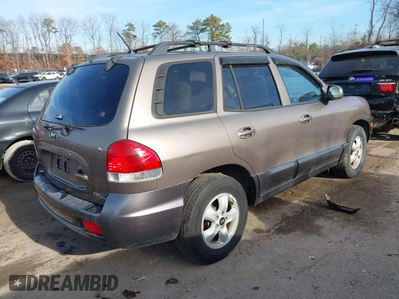 2005 Hyundai Santa Fe GLS with VIN KM8SC13D45U929446, listed as a IAAI auction lot 41200311 with 157,669 mi miles and . Bid and sale history available at DreamBid. Image 4.