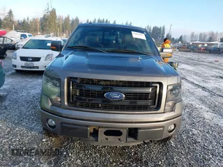 2013 Ford F-150 XL z VIN 1FTFX1EF8DFA54304, wystawiony jako IAAI lot #41484021 z przebiegiem 53 121 mil mil oraz . Historia ofert i sprzedaży dostępna na DreamBid. Obrazek 12.