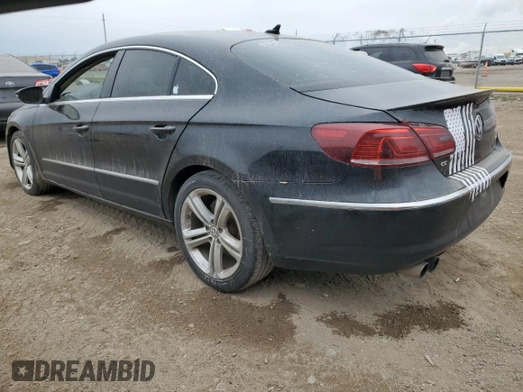 2014 Volkswagen CC Lux with VIN WVWRN7AN7EE524879, listed as a Copart auction lot 87622275 with 201,153 mi miles and Clean Title. Bid and sale history available at carsss.com. Image 2.