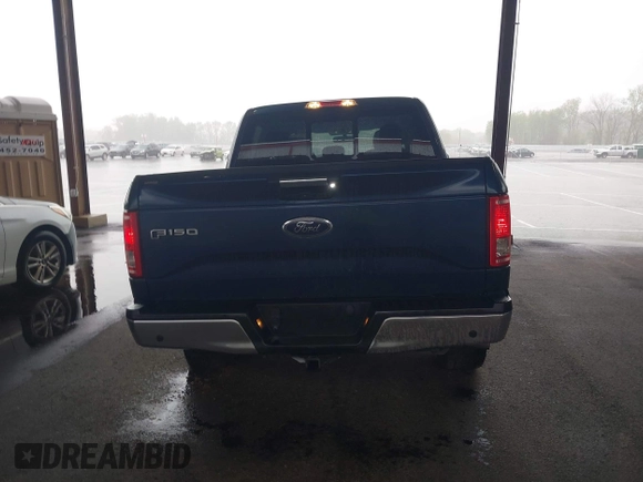 2017 Ford F-150 XL with VIN 1FTEW1EF5HKC01979, listed as a IAAI auction lot 41942328 with 141,536 mi miles. Bid and sale history available at carsss.com. Image 16.
