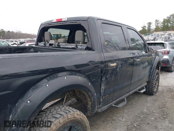 2017 Ford F-150 XL with VIN 1FTEW1EF8HFC36816, listed as a IAAI auction lot 41481007 with 100,828 mi miles. Bid and sale history available at carsss.com. Image 6.