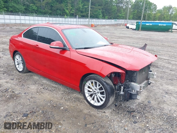 2016 BMW 2 Series 228i with VIN WBA1F9C54GV742703, listed as a IAAI auction lot 42209964 with 114,330 mi miles and . Bid and sale history available at DreamBid. Image 1.