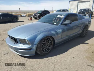 2007 Ford Mustang GT Deluxe with VIN 1ZVFT82H175319730, listed as a Copart auction lot 49682245 with Not provided miles and Salvage title. Bid and sale history available at DreamBid. Image 1.