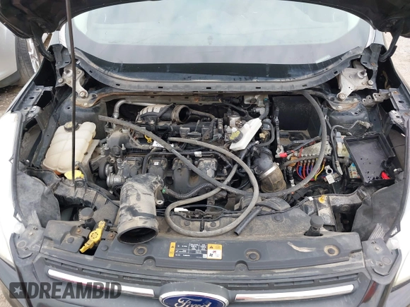 2014 Ford Escape SE with VIN 1FMCU9G96EUD61299, listed as a IAAI auction lot 42411069 with 147,957 mi miles and . Bid and sale history available at DreamBid. Image 10.