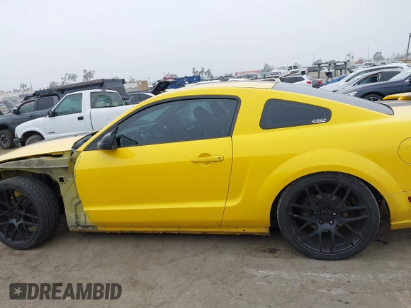 2006 Ford Mustang GT Deluxe with VIN 1ZVFT82H165206827, listed as a IAAI auction lot 42031340 with 256,919 mi miles. Bid and sale history available at carsss.com. Image 15.