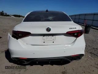2019 Alfa Romeo Giulia Sport with VIN ZARFAMAN2K7613021, listed as a Copart auction lot 76203064 with 0 mi miles and Salvage Title. Bid and sale history available at carsss.com. Image 6.