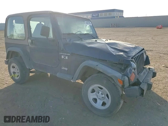 2002 Jeep Wrangler X with VIN 1J4FA39S42P750146, listed as a Copart auction lot 44587995 with 230,334 mi miles and Salvage Title. Bid and sale history available at carsss.com. Image 12.