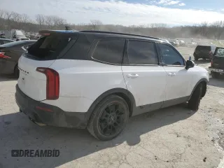 2022 Kia Telluride SX with VIN 5XYP5DHC7NG230867, listed as a Copart auction lot 42207465 with 64,800 mi miles and Salvage Title. Bid and sale history available at carsss.com. Image 3.