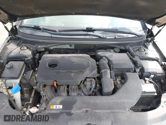 2017 Hyundai Sonata SE with VIN 5NPE24AF5HH589149, listed as a IAAI auction lot 41810444 with 168,924 mi miles. Bid and sale history available at carsss.com. Image 10.