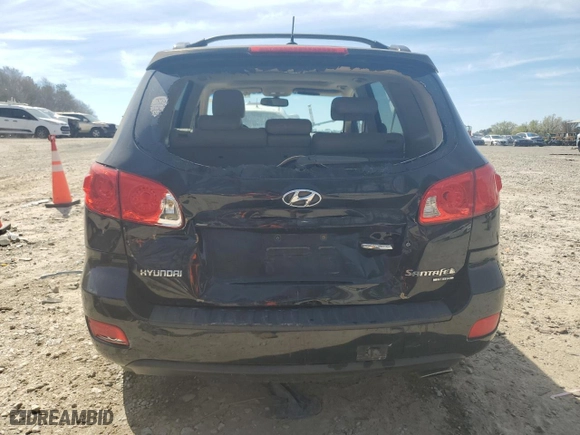 2009 Hyundai Santa Fe SE with VIN 5NMSH13E69H301612, listed as a Copart auction lot 49039005 with 214,882 mi miles and Salvage Title. Bid and sale history available at carsss.com. Image 6.