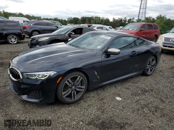 2019 BMW 8 Series M850i xDrive with VIN WBABC4C5XKBU95875, listed as a Copart auction lot 61893343 with 17,250 mi miles. Bid and sale history available at carsss.com. Image 1.