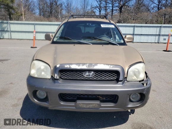 2002 Hyundai Santa Fe GLS with VIN KM8SC13D42U188047, listed as a Copart auction lot 55060015 with 170,066 mi miles and Salvage Title. Bid and sale history available at carsss.com. Image 5.
