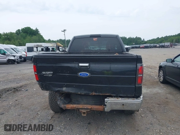 2010 Ford F-150 XL with VIN 1FTEX1E81AFA48403, listed as a IAAI auction lot 42499944 with 215,900 mi miles and . Bid and sale history available at DreamBid. Image 17.