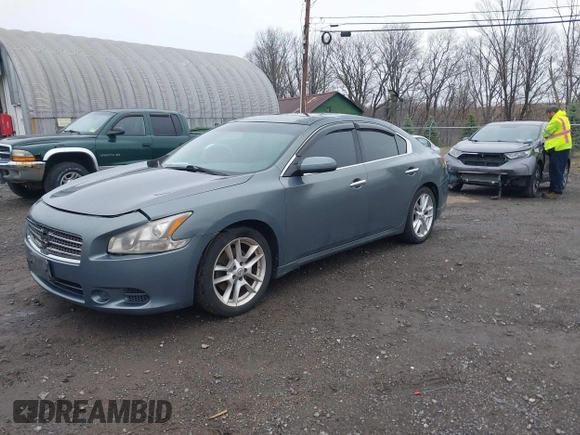2009 Nissan Maxima SV with VIN 1N4AA51E89C853918, listed as a IAAI auction lot 41956138 with 116,410 mi miles and . Bid and sale history available at DreamBid. Image 2.