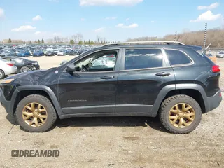 2014 Jeep Cherokee Trailhawk with VIN 1C4PJMBS6EW100500, listed as a IAAI auction lot 41894989 with 131,034 mi miles. Bid and sale history available at carsss.com. Image 14.