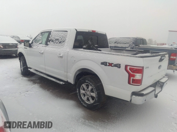 2019 Ford F-150 XL with VIN 1FTEW1EP7KFC62954, listed as a IAAI auction lot 27603731 with 14 mi miles and . Bid and sale history available at DreamBid. Image 3.